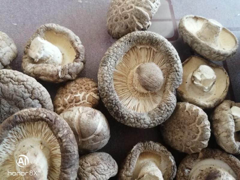 干香菇冬菇一件代发包邮一件起批（3斤装）