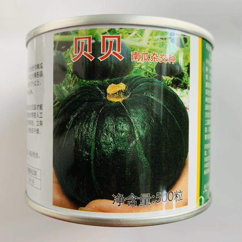 上海惠和进口贝贝南瓜种子扁圆形强粉质正宗贝贝南瓜种子