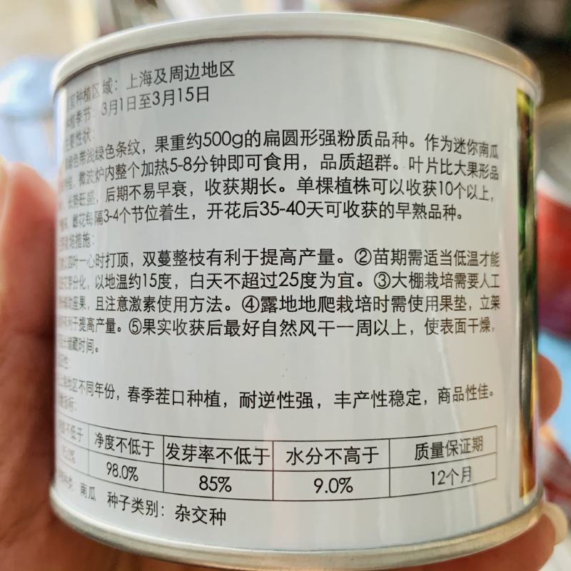 上海惠和进口贝贝南瓜种子扁圆形强粉质正宗贝贝南瓜种子