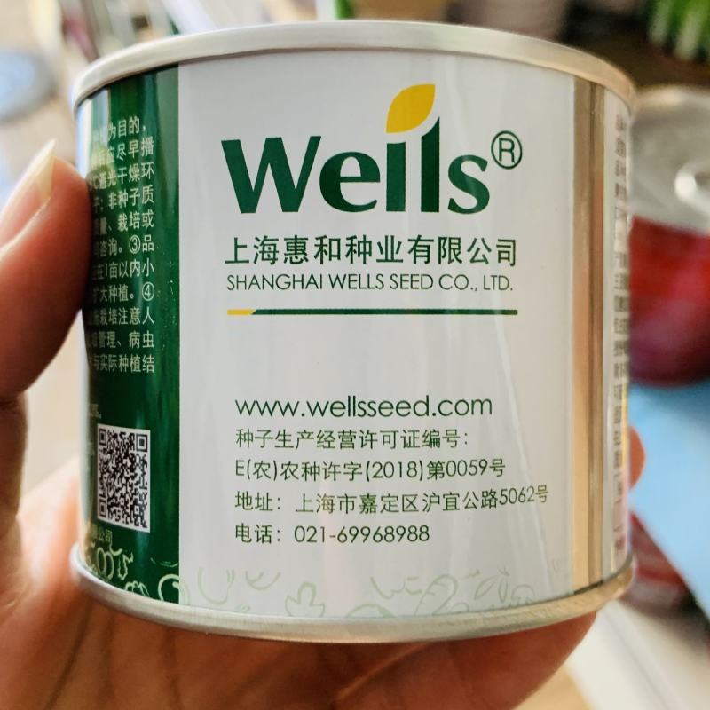 上海惠和进口贝贝南瓜种子扁圆形强粉质正宗贝贝南瓜种子
