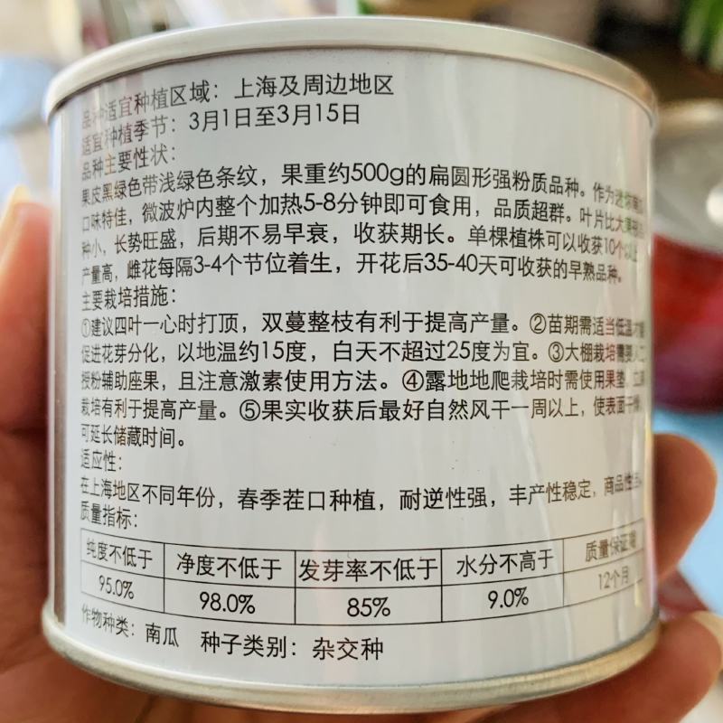 上海惠和进口贝贝南瓜种子扁圆形强粉质正宗贝贝南瓜种子