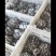 大量有货！保证质量！！童叟无欺，欢迎各位老板前来订购