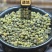 吴茱萸青绿野生吴茱臾中药材广西中花蕾吴芋粉涌泉穴贴