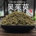 吴茱萸青绿野生吴茱臾中药材广西中花蕾吴芋粉涌泉穴贴