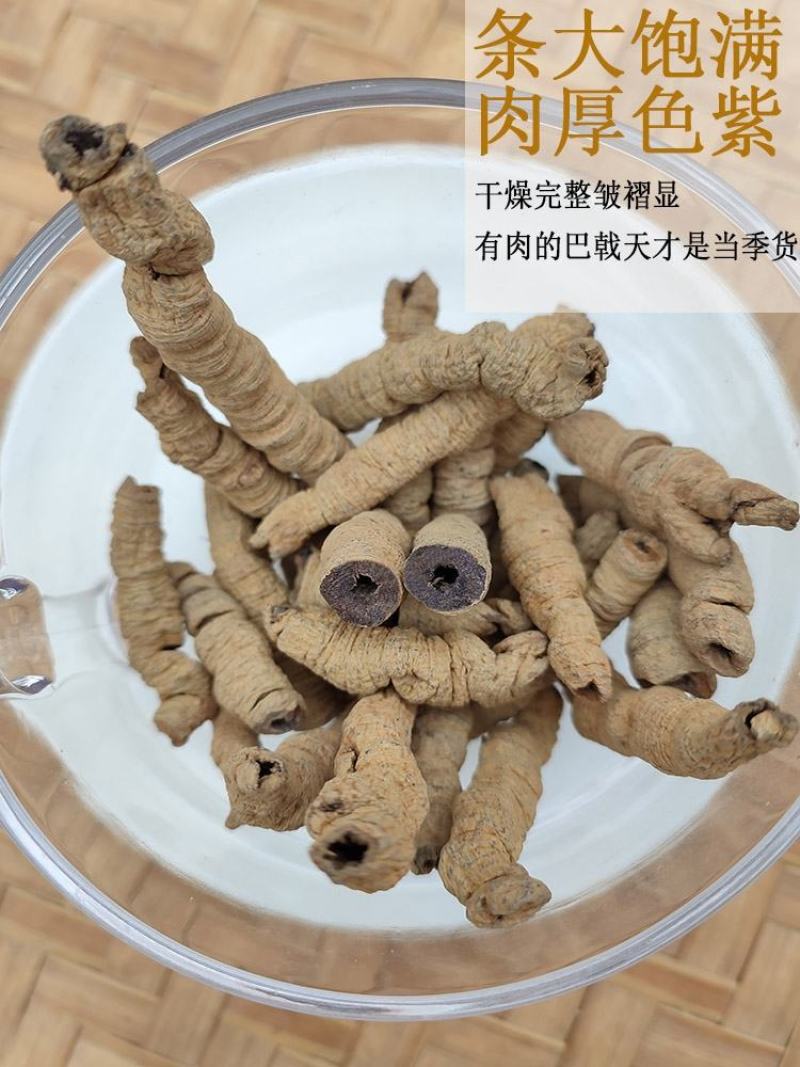 巴戟天中药材新生晒干巴戟德庆巴戟天巴戟天中药材新生晒干巴