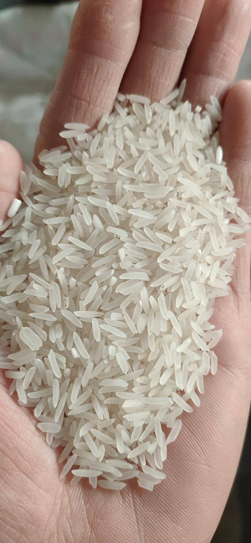 象牙米厂家直销日产30吨口感清香，砂锅饭煲仔饭专用米