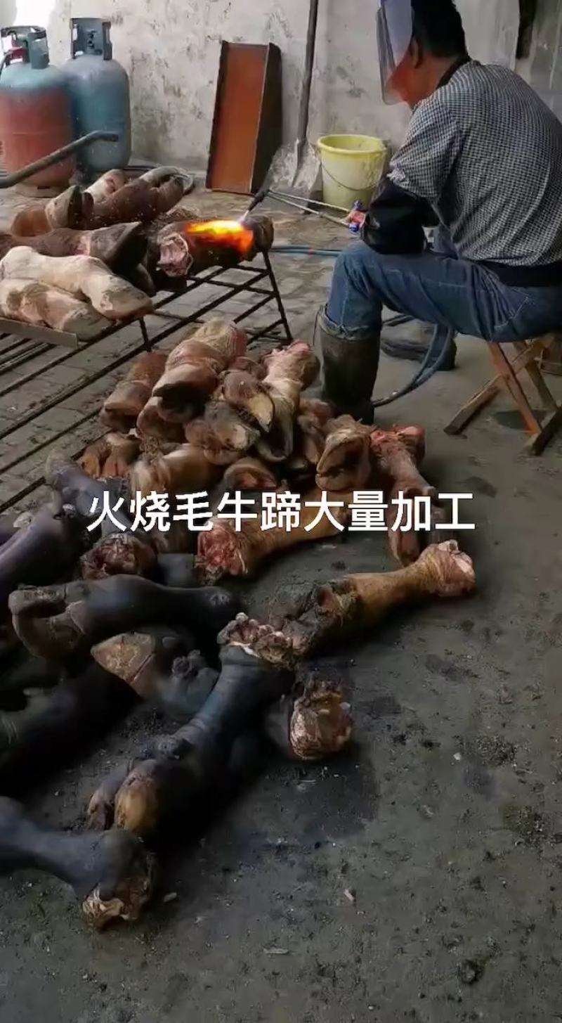火烧牛蹄，质量好，一手货源有许要的联系，看质量