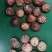 干香菇,油面菇,冬菇,各种规格,泌阳产区直发,干净无杂质