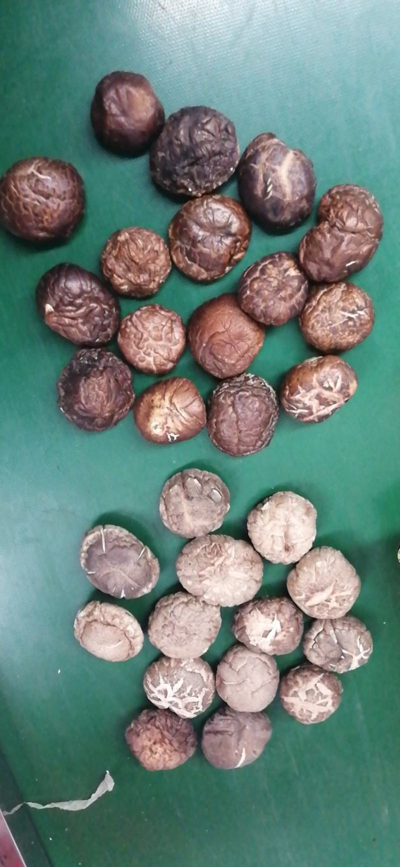 干香菇，油面菇，冬菇，各种规格，泌阳产区直发，干净无杂质