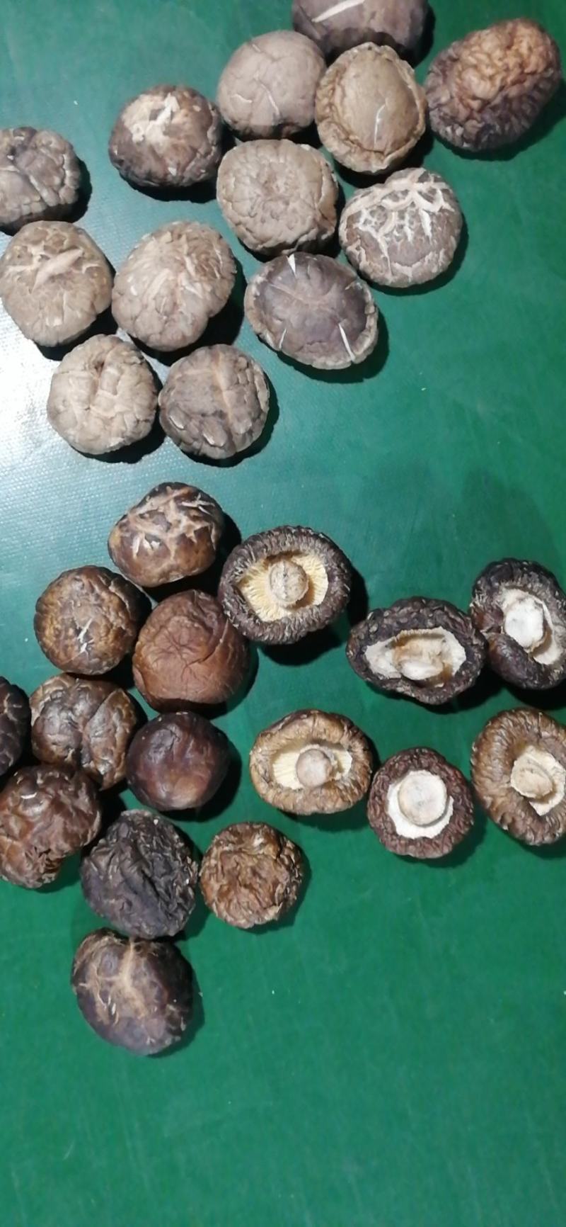干香菇，油面菇，冬菇，各种规格，泌阳产区直发，干净无杂质