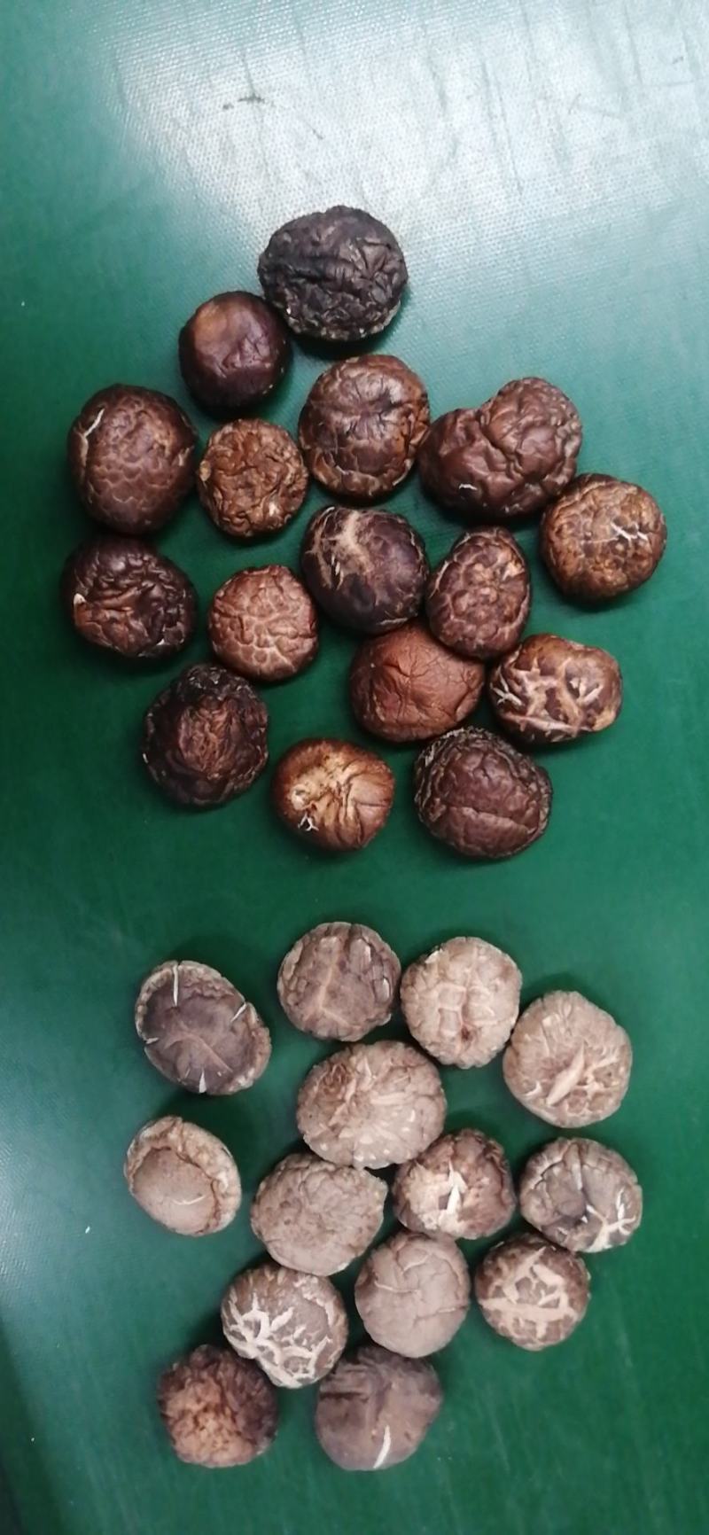 干香菇，油面菇，冬菇，各种规格，泌阳产区直发，干净无杂质
