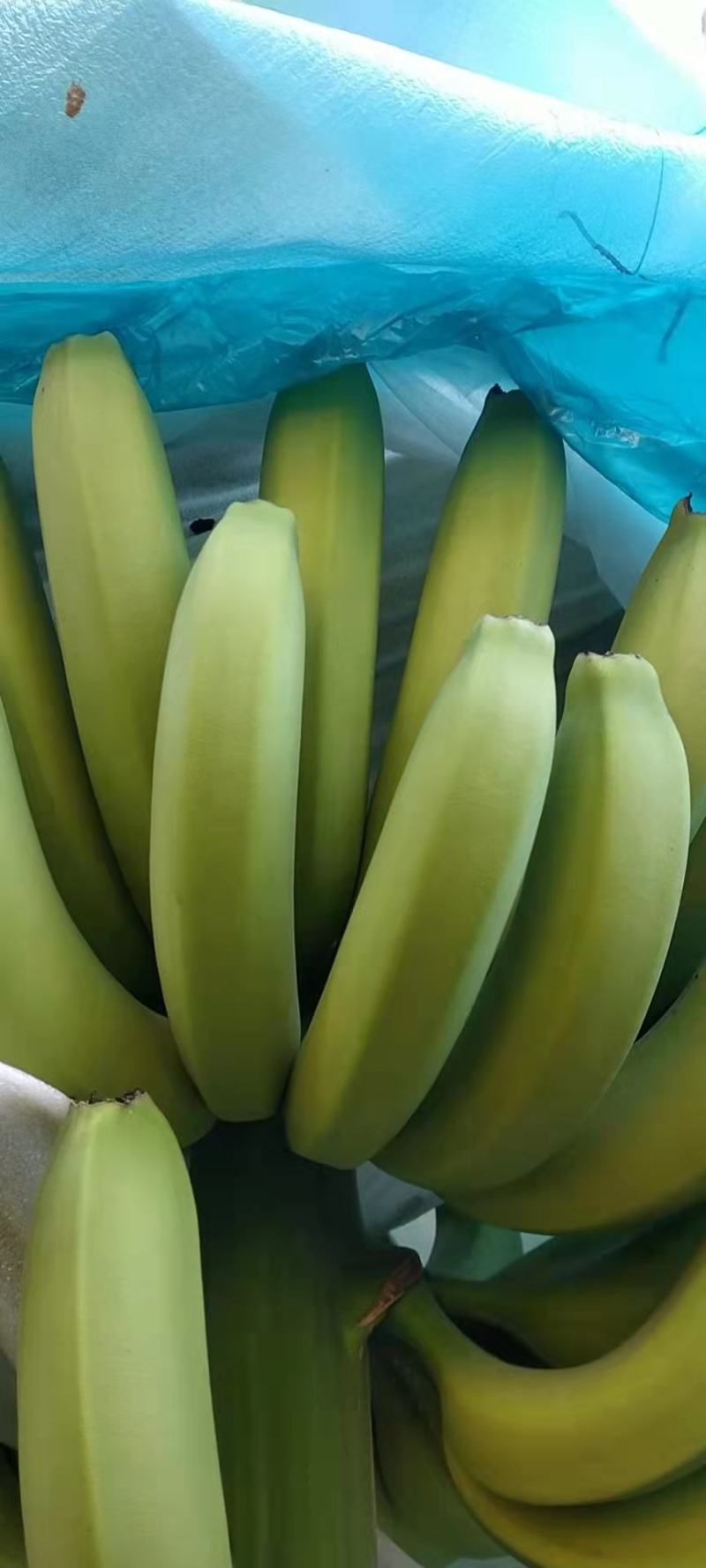 香蕉