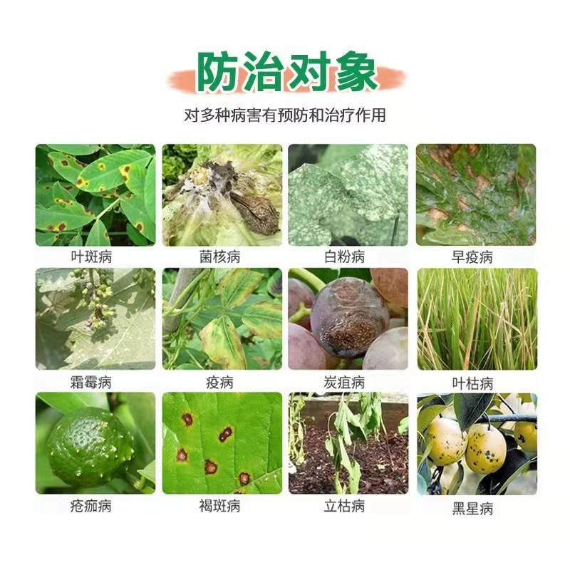 甲基硫菌灵。灰霉病稻瘟病赤霉病稳纹枯病白粉病炭蛆病叶霉病