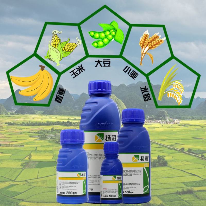 瑞士先正达扬彩丙环唑嘧菌脂香蕉叶斑病白粉锈病杨彩杀菌剂