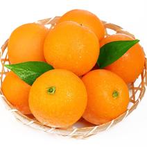 麻阳冰糖橙新鲜应季水果橙子冰糖橙手剥冰糖橙