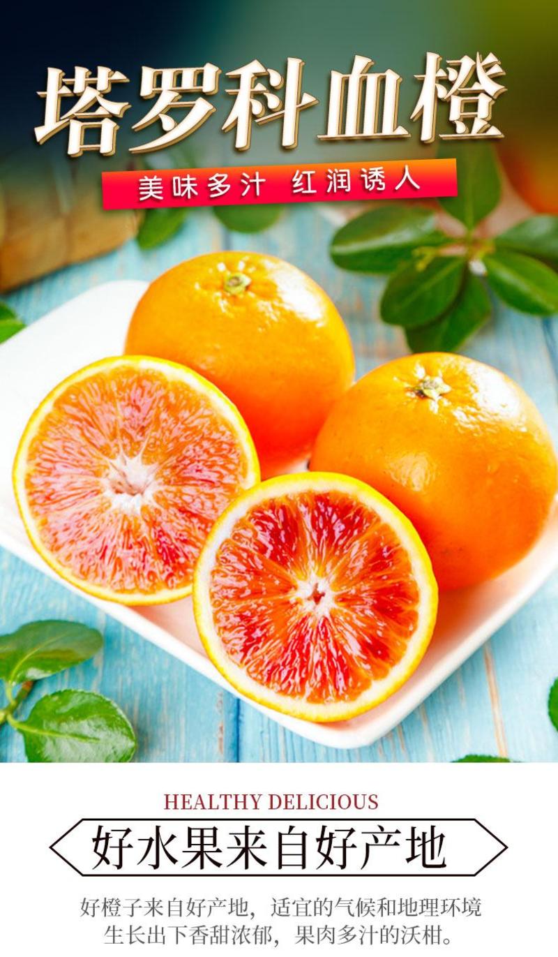 四川塔罗科血橙脐橙橙子现摘新鲜皮薄当应季水果