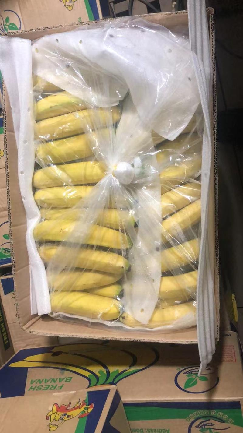 小韩香蕉