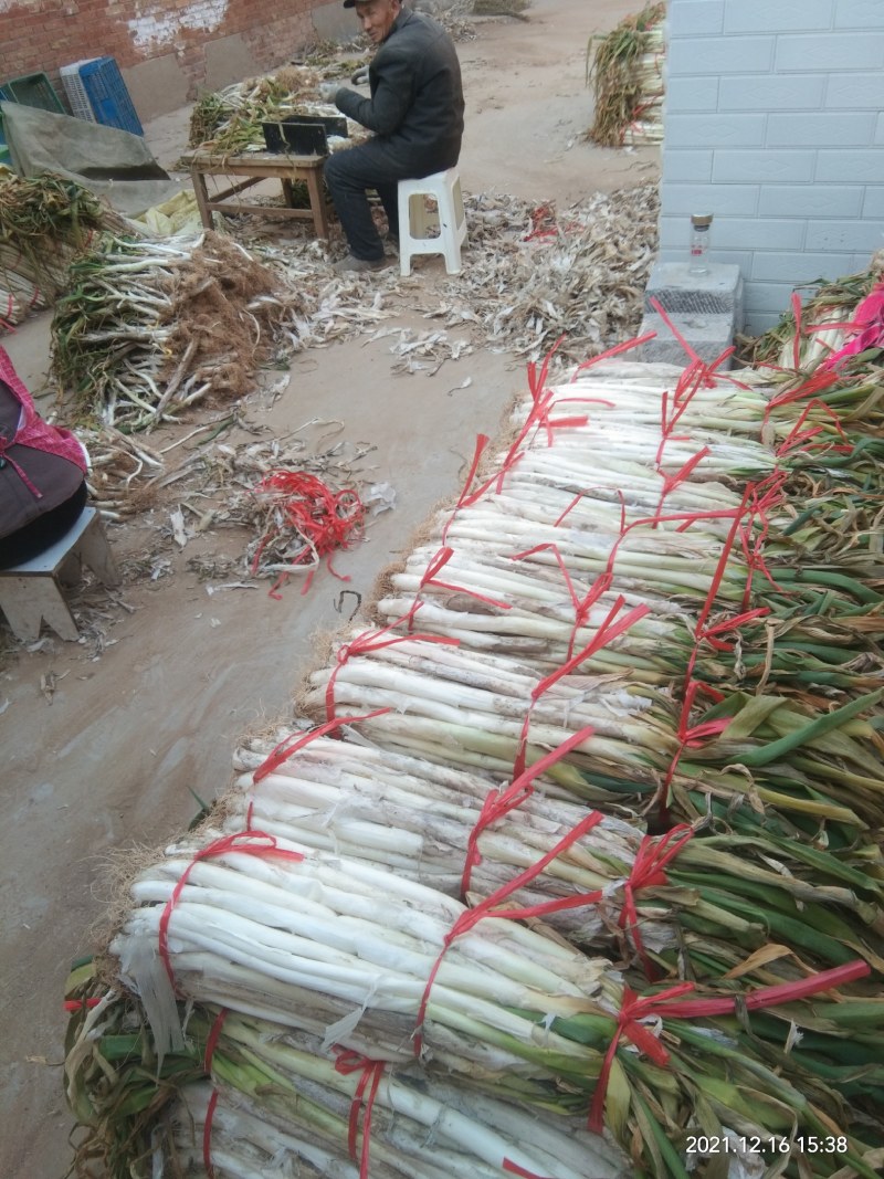 长白大葱质量好