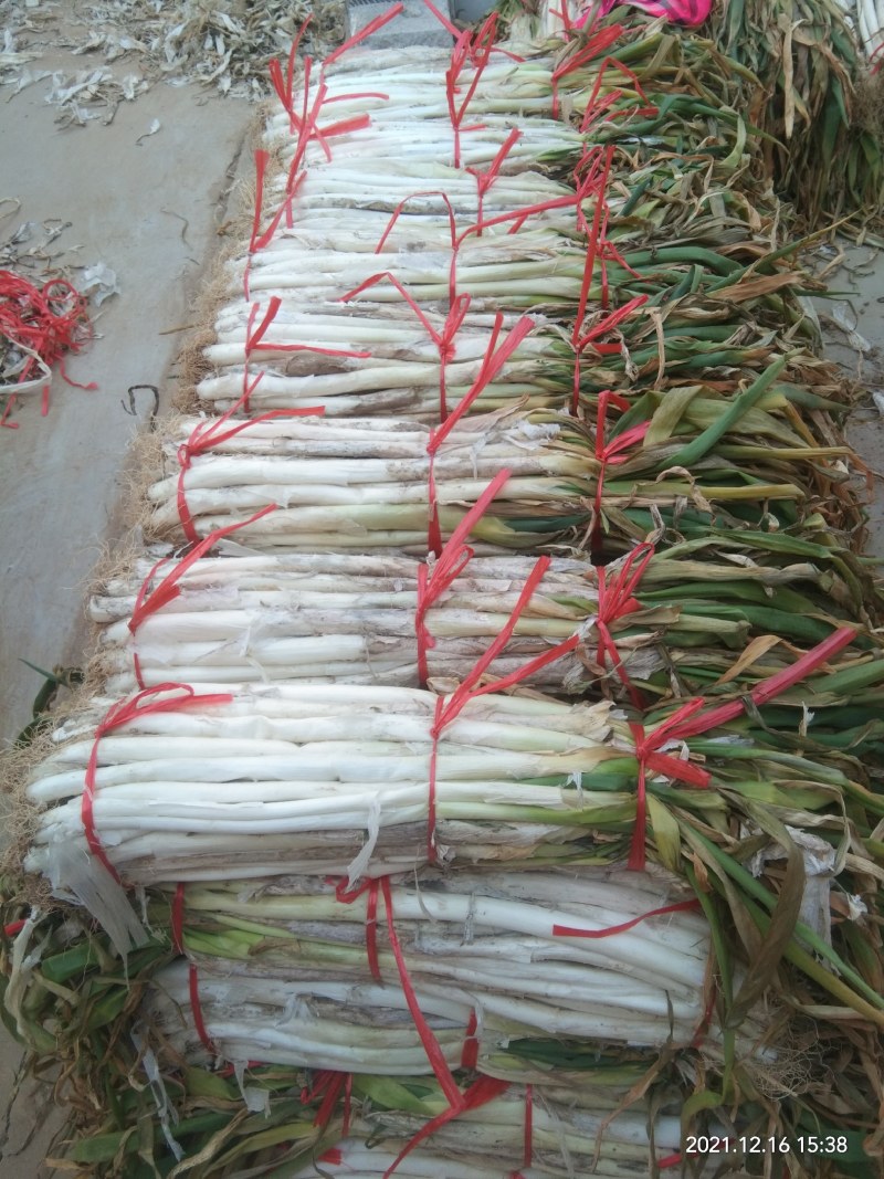 长白大葱质量好