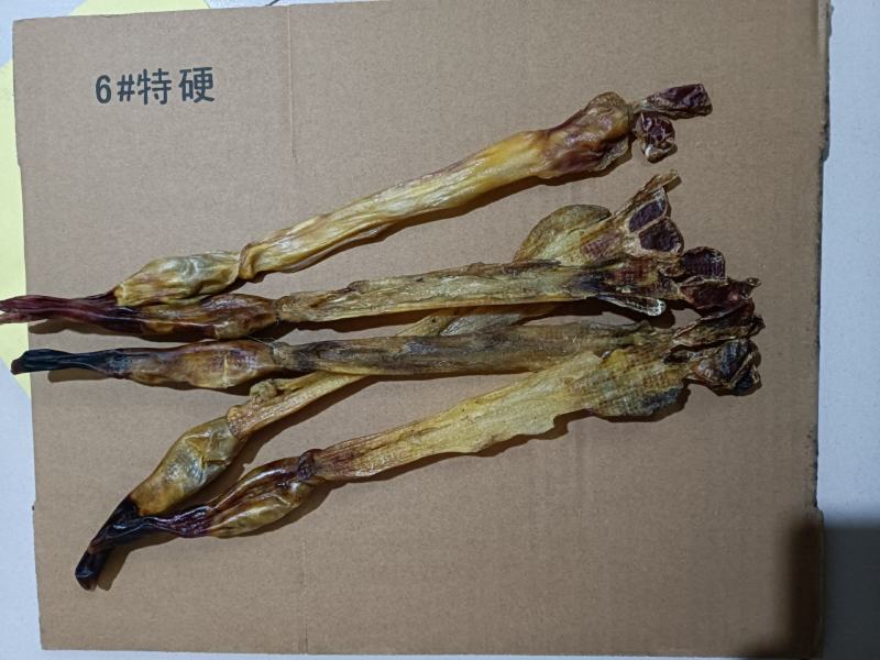 狗鞭整条干狗肾泡酒料包邮2条起