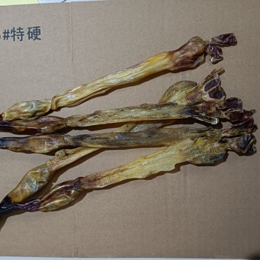 狗鞭整条干狗肾泡酒料包邮2条起