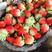 固镇草莓红颜草莓，每天2000斤到八千斤可供商超