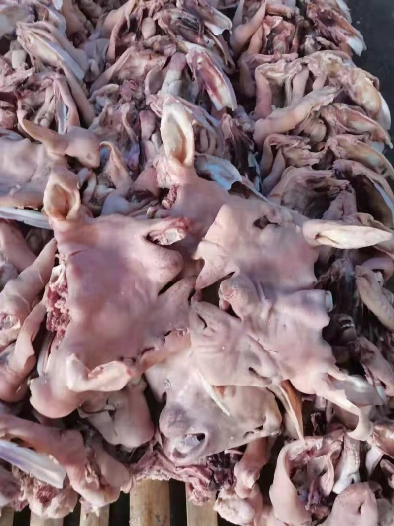 羊头肉，精修去油去骨无冰货干，出称高，去油干净货源充足，