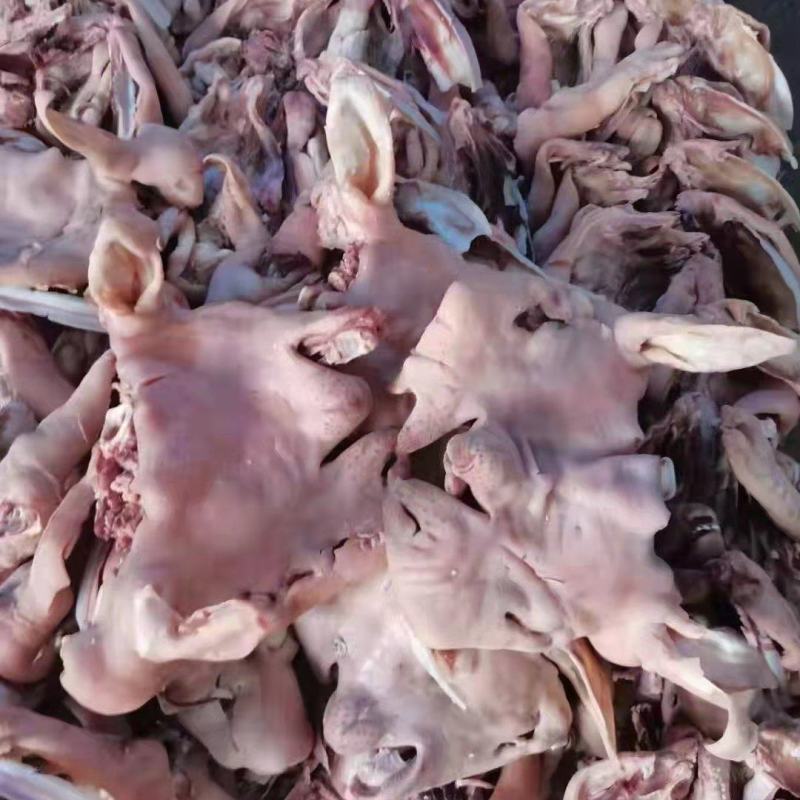 羊头肉，精修去油去骨无冰货干，出称高，去油干净货源充足，