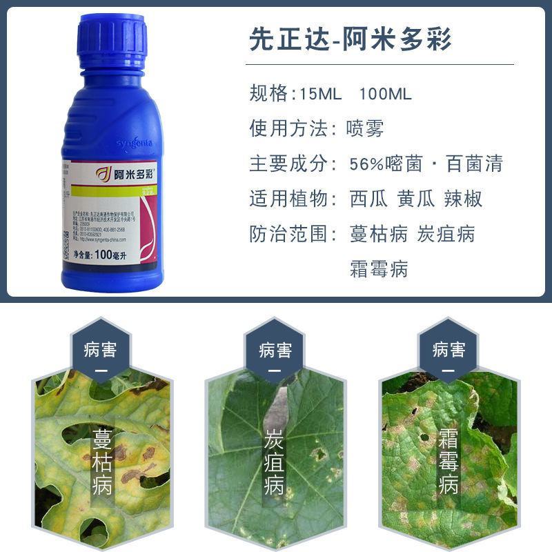 瑞士先正达阿米多彩嘧菌酯嘧菌脂百菌清霜霉病早疫病叶斑病