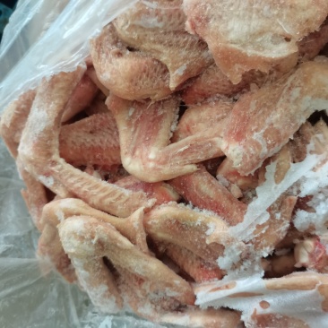 鸭产品鸭胗鸭肠鸭翅鸭舌鸭掌白条鸭质量保障