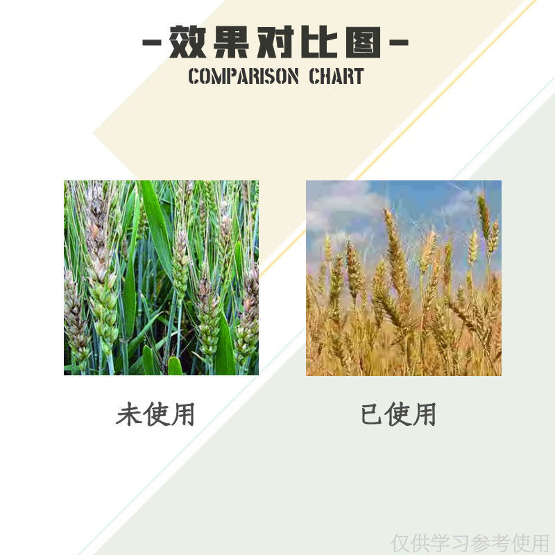 日曹甲基托布津轮纹赤霉纹枯盆景多肉炭疽病白粉病杀菌剂