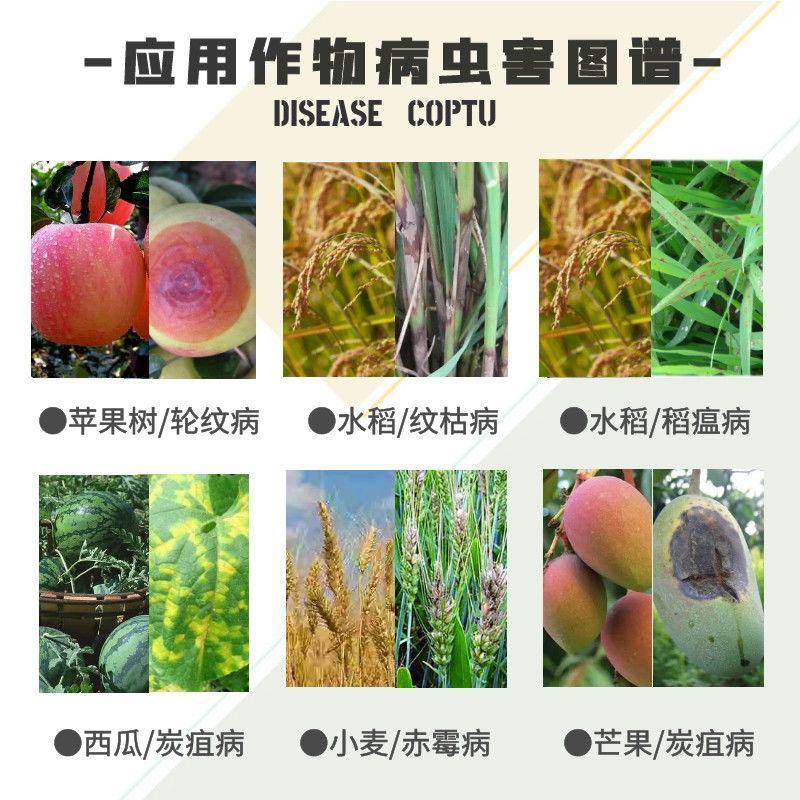 日曹甲基托布津轮纹赤霉纹枯盆景多肉炭疽病白粉病杀菌剂