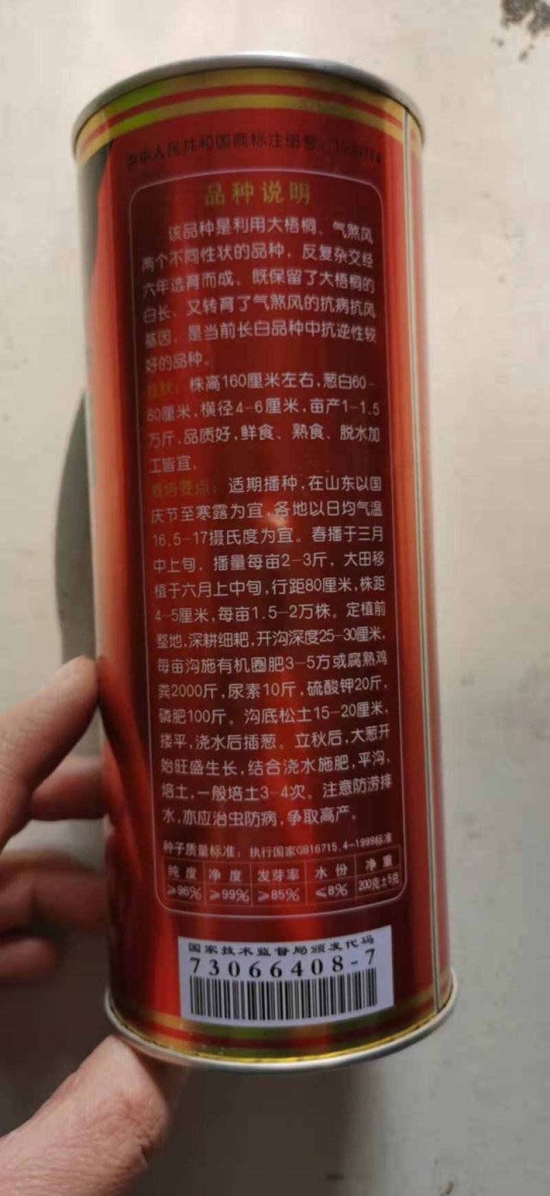 铁杆大葱种子80公分葱白大葱种籽良种章丘大葱种子抗病抗倒
