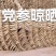 甘肃岷县白条党参大党参无硫干货产地直供量大从优