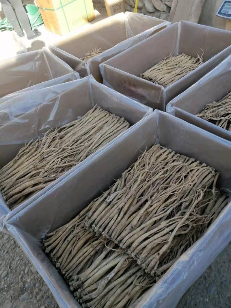 甘肃岷县白条党参大党参无硫干货产地直供量大从优