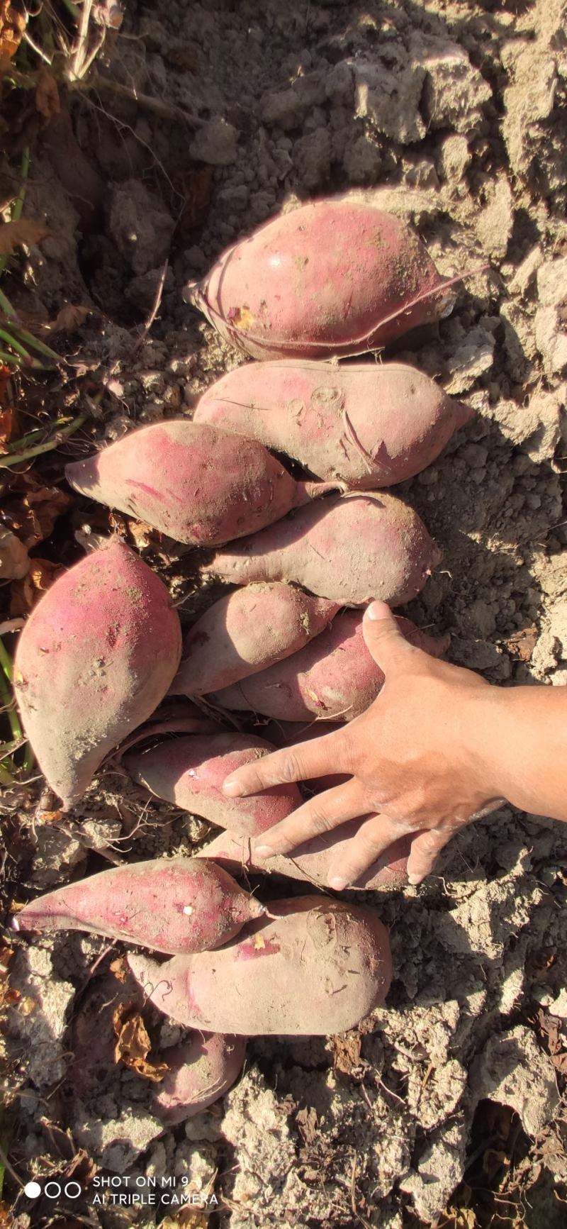 供应601