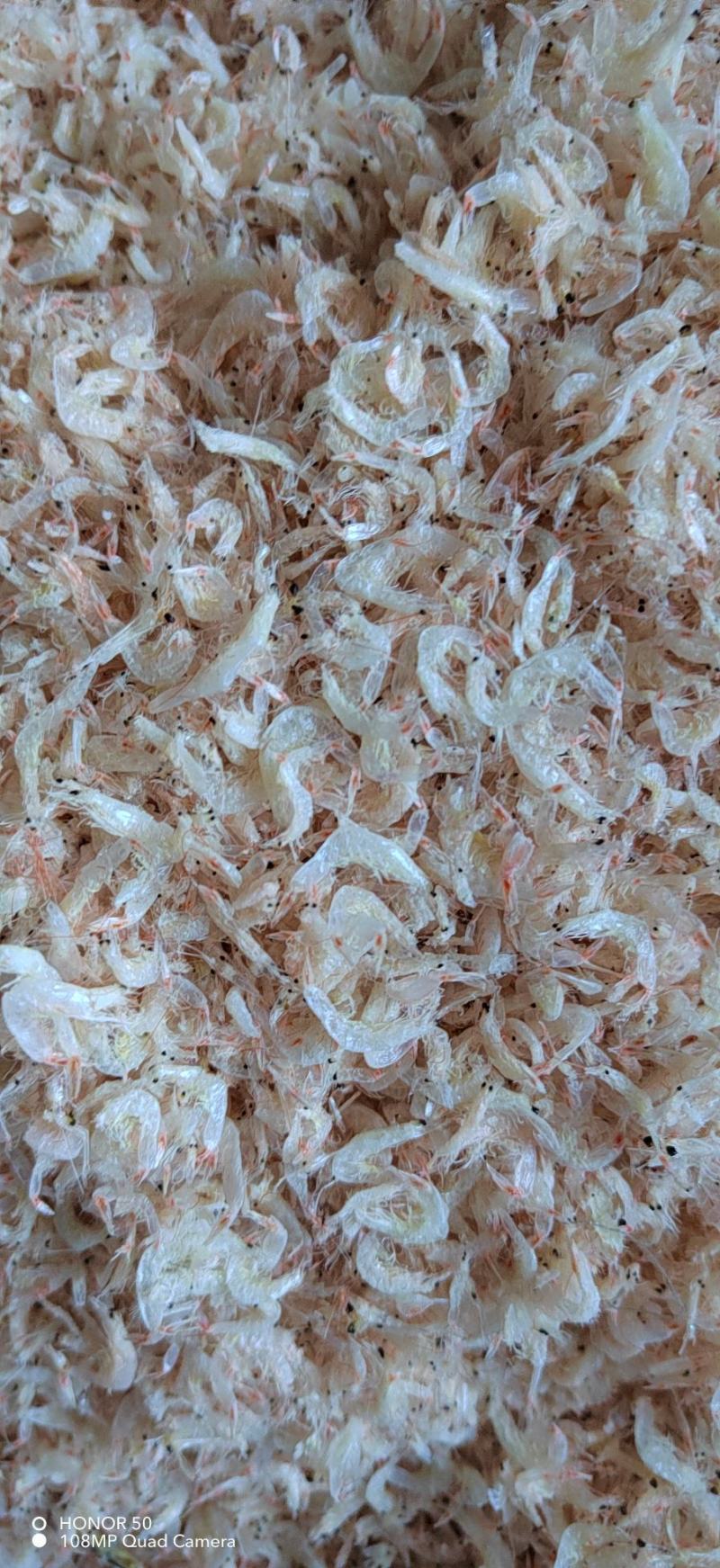无盐虾皮干度好即食老幼含钙汤料调味毛虾海产干货
