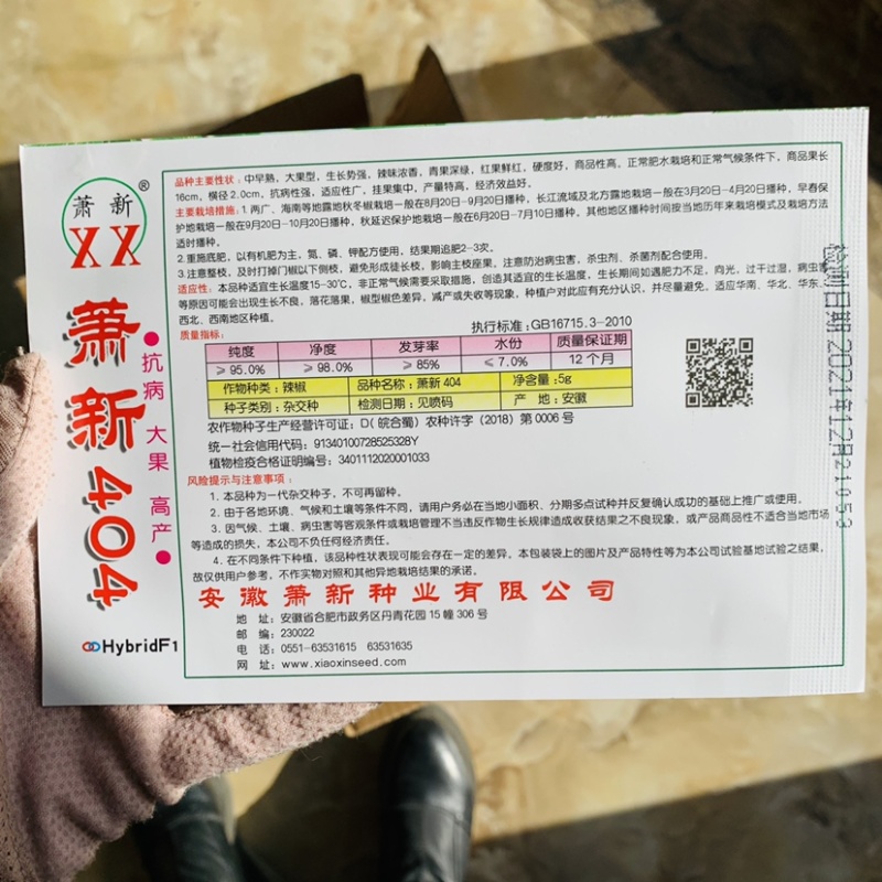 萧新404美人椒种子大果型美人指辣椒种籽，硬度好特高产辣