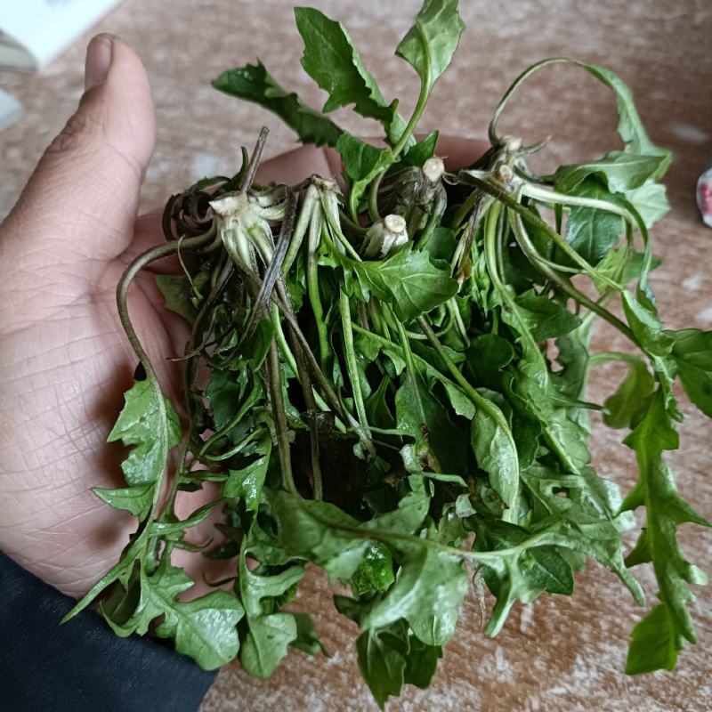 速冻荠菜，精品荠菜，东台荠菜，野生荠菜，野生荠菜。