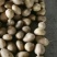 【牛商】通许土豆精品土豆希森V7品种齐全量大