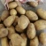 【牛商】通许土豆精品土豆希森V7品种齐全量大