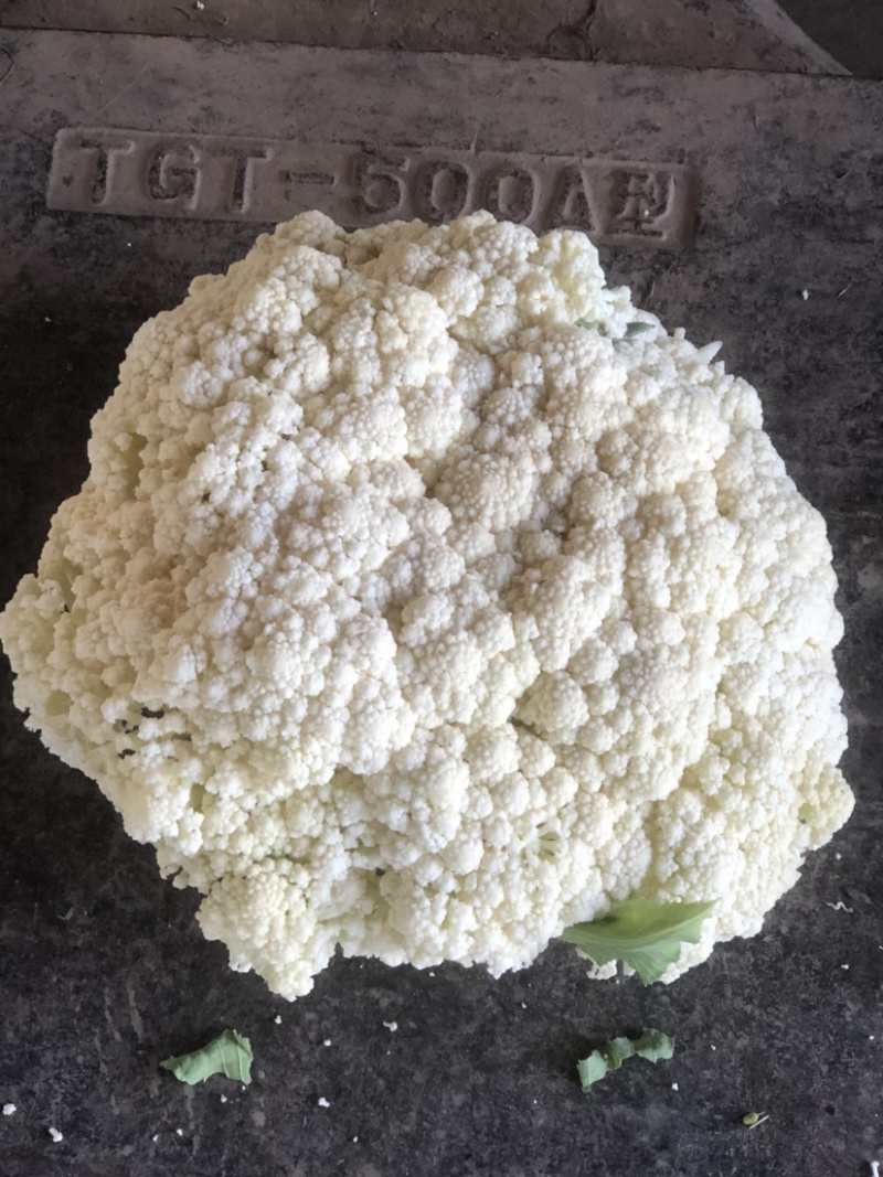 【精品】湖北精品松花，松花花菜最大特点就是白