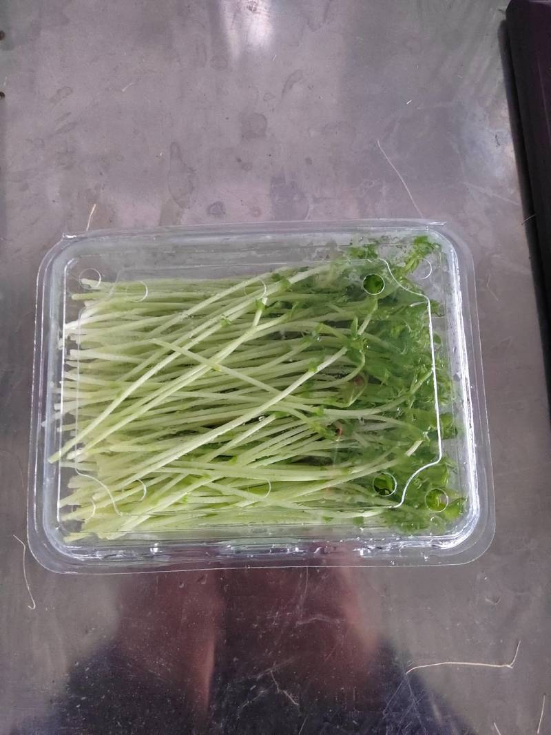 豌豆苗