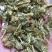 伸筋草舒筋草狮尾草泡茶泡脚各种草药中药材