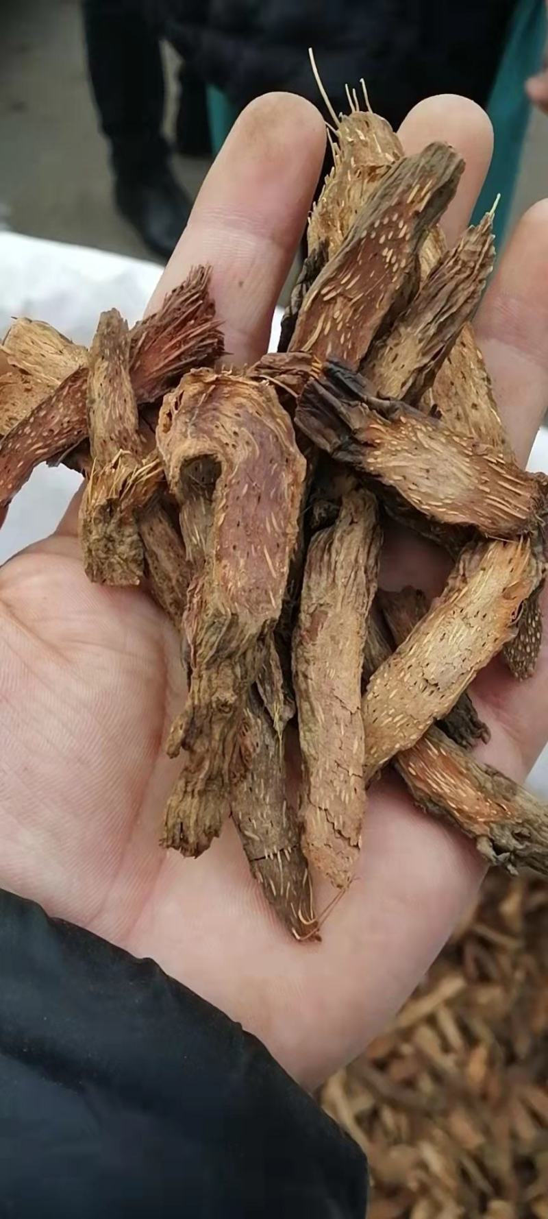 千年健千年见无硫熏无添加各种中药材批发