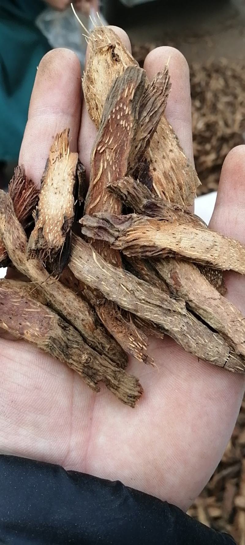 千年健千年见无硫熏无添加各种中药材批发