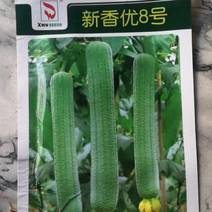 新香优8号，早熟第一雌花兯位7节左右雌花率高节成性好。…