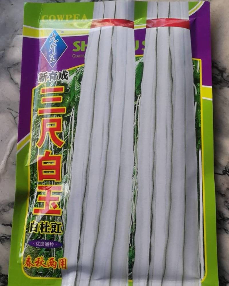 三尺白玉白杜豇，春秋两用，夹银白色光亮纤维极少条夹粗长。