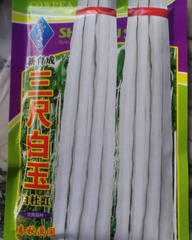 三尺白玉白杜豇，春秋两用，夹银白色光亮纤维极少条夹粗长。