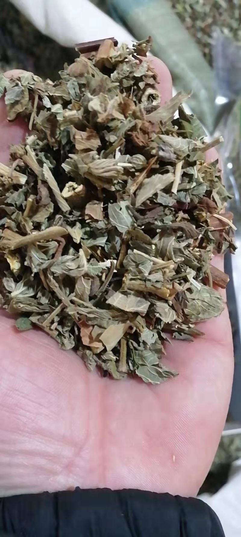 仙鹤草无硫干货无土吸尘干净实图拍摄